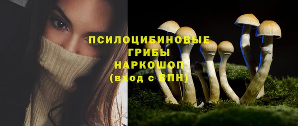 гидра Абинск