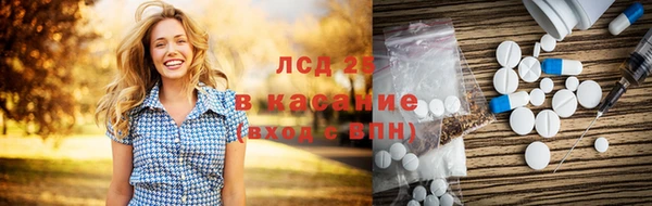 ECSTASY Алзамай