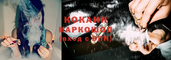 ECSTASY Алзамай