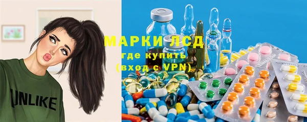 ECSTASY Алзамай